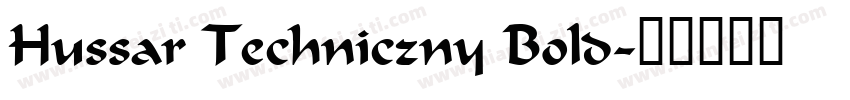 Hussar Techniczny Bold字体转换